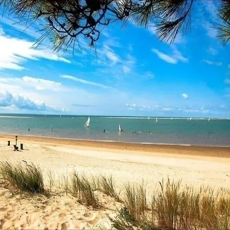 House - Les Maisons De L'ocean - Maison Mitoyenne-proche Commerces - Proximite Plage Et Foret- * La Palmyre